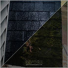 roofCleaning_edited.jpg