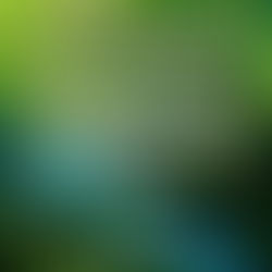 Mensagens de Espiritualidade