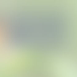 A caridade é o amor