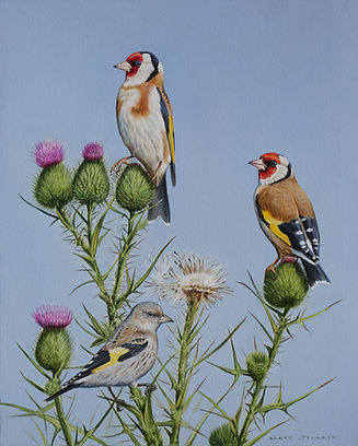 Jarrett_Brett_Goldfinches.JPG