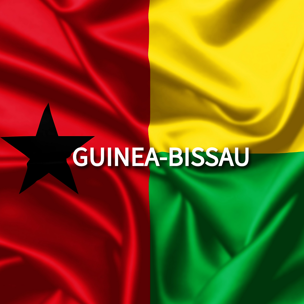 Guinea Bissau Flag