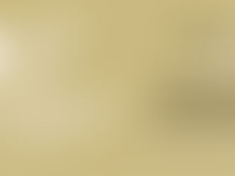 LES CAPRICES | DROIT DANS LE MUR !