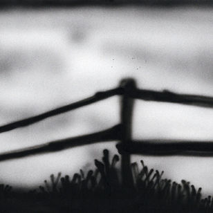 NÉMO RICHARD-ROUSSEL | À L'HORIZON