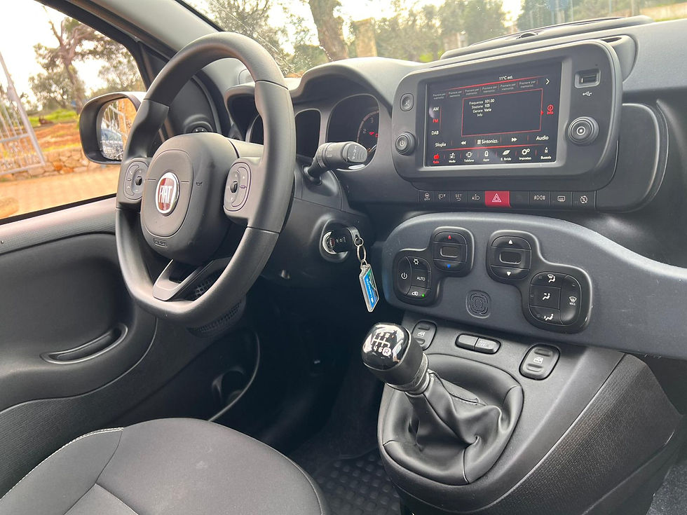 Miniatura: FIAT PANDA CROSS