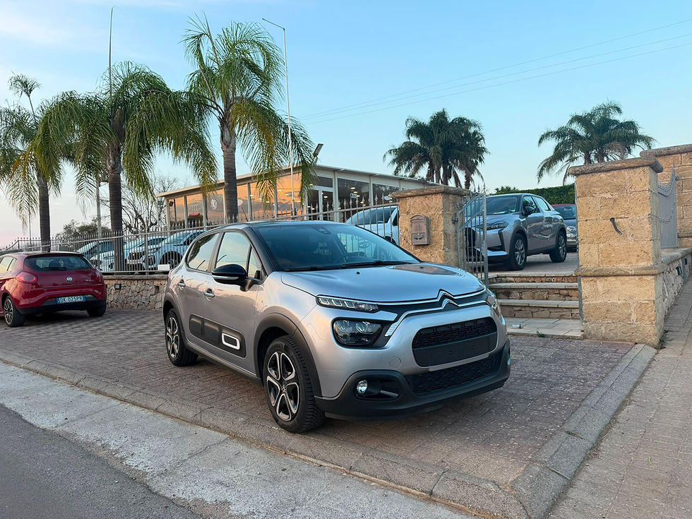 Miniatura: CITROEN C3 SHINE