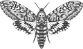 IMG_0215_edited.png