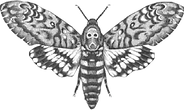 IMG_0215_edited.png