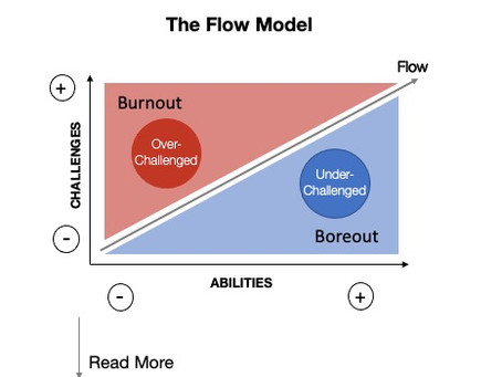 The Flow Model