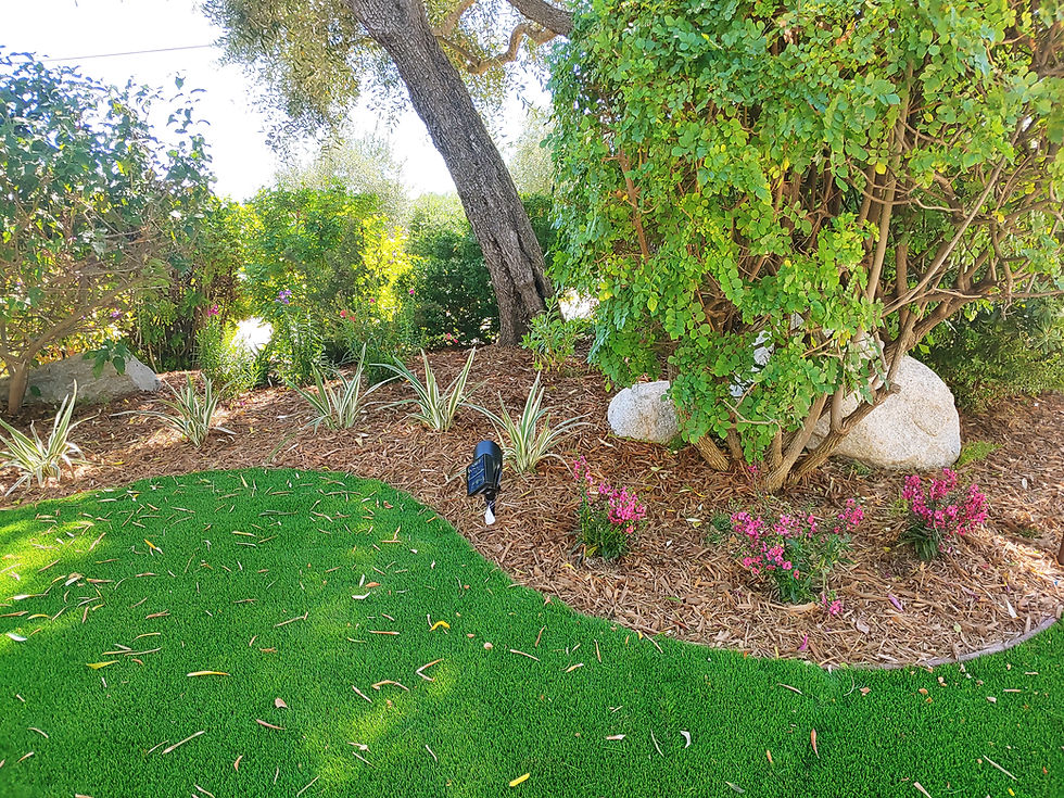plantero con wood chip y flores rosas