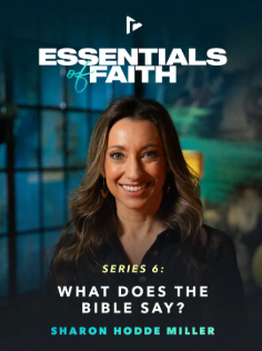 What Does the Bible Say Small Group 