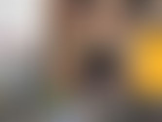 Introducing the Rat in 2018