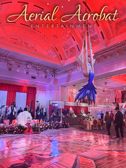 AAE TLC Mermaid Aerialist Sling WM IMG_6992 copy.png