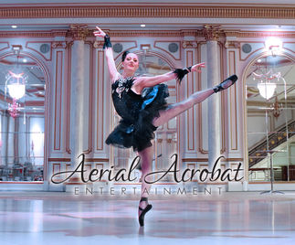 AAE Ballerina Back Tutu IMG_3108 copy.jpg