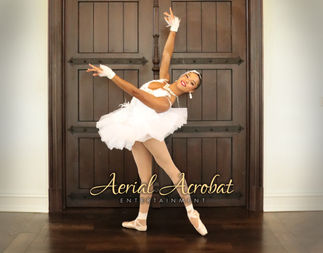 AAE Ballerina IMG_3157 copy.jpg