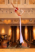 Aerialist - Silks