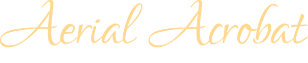 AAE-Logo-Color-Web (1).png