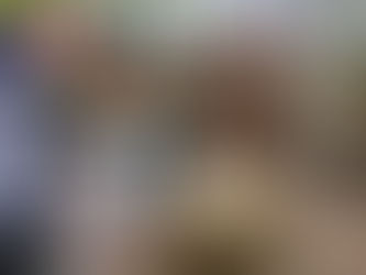 Chegamos ao meio do ano e como está seu planejamento?