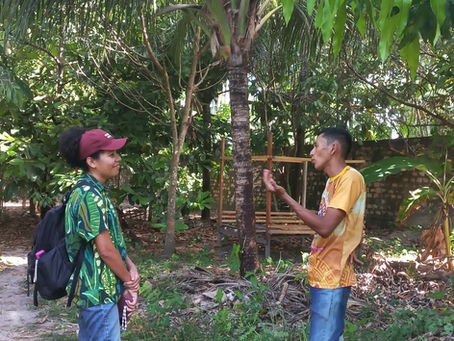 Como medimos o impacto do nosso trabalho?