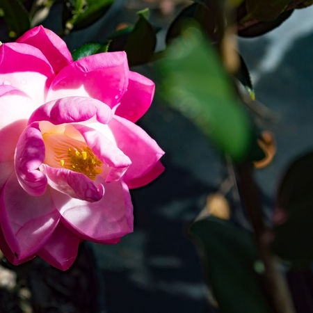 Screenshot 2022-12-29 091746.jpg