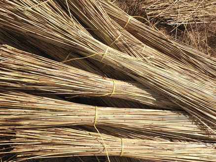 "Why Do I Have to Wait So Long for My New Thatched Roof?” 