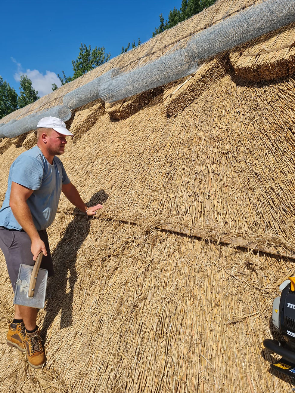 Close-up view of a thatcher applying water reed to a roof