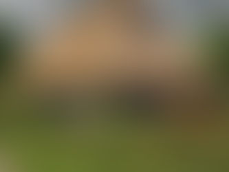 Reed Roofing Master Thatchers: Your Guaranteed Installation in 2026!