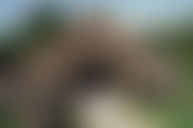 Thatch Roofing in Britain: A Tale Woven Through Time