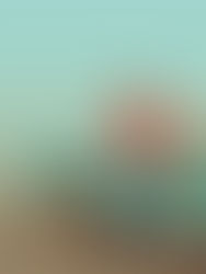 Thrifting Fashion: Behind-the-Scenes and Unique Outfits