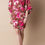 Μικρογραφία: Renata (Brown/Pink) Dress