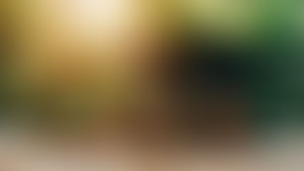 Tuition Reimbursement: Important Info Regarding California's New Stay-or-Pay Law