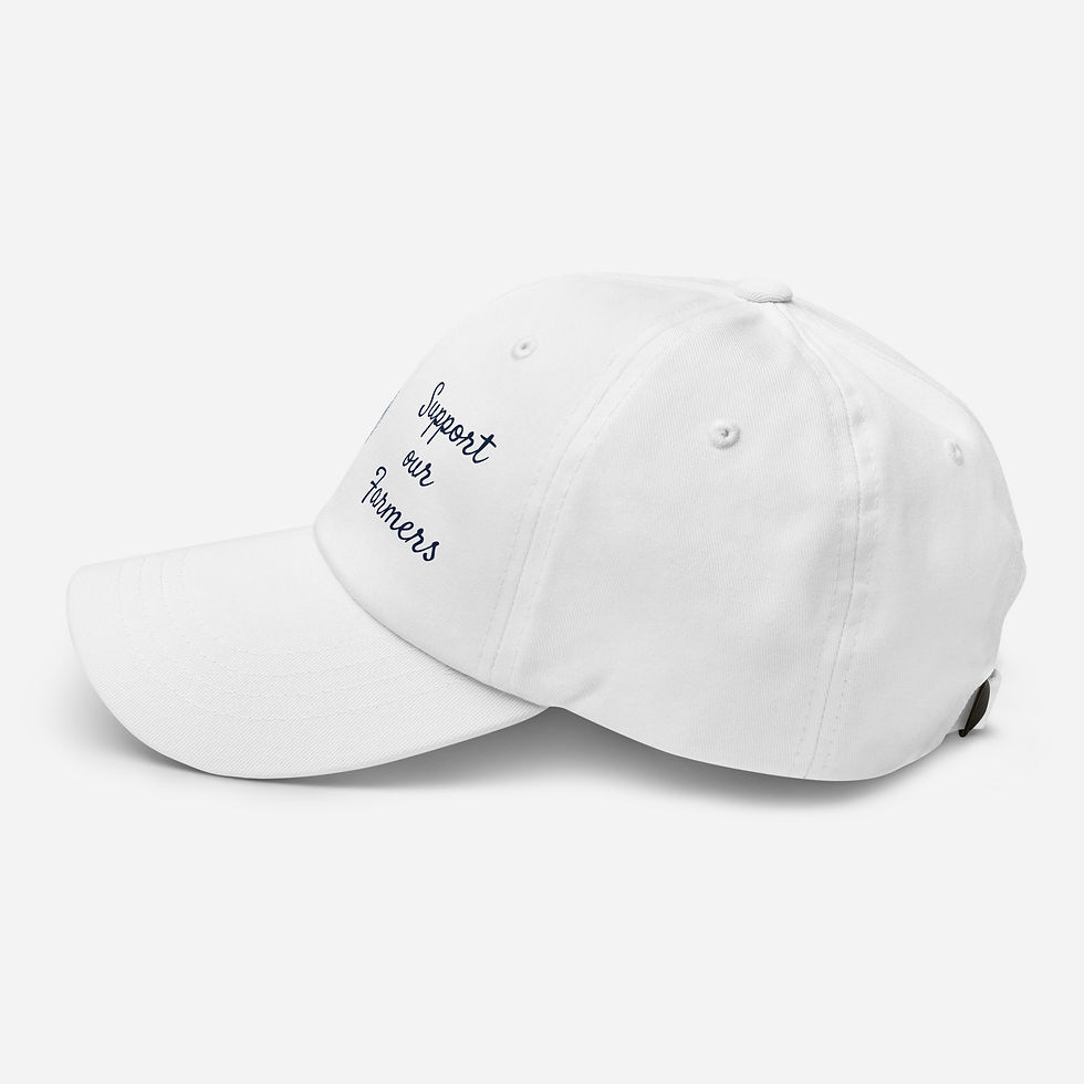 Miniature : Dad Hat