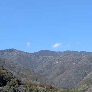 鷹羽ヶ森スカイレース