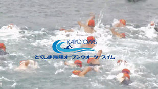 とくしま海陽オープンウォータースイム