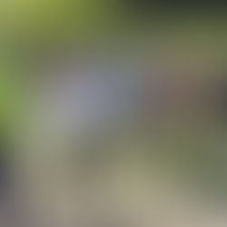 まんのうロゲイニング