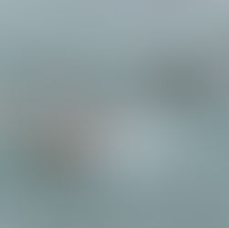 とくしま海陽オープンウォータースイム