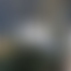 祖谷スカイラン