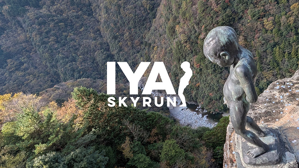 祖谷スカイラン