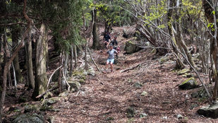 祖谷スカイラン