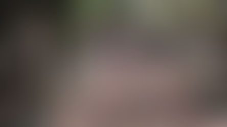 祖谷スカイラン