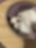 IMG_0186.jpeg
