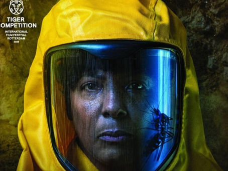 Novidades de REJANE FARIA no cinema e na TV