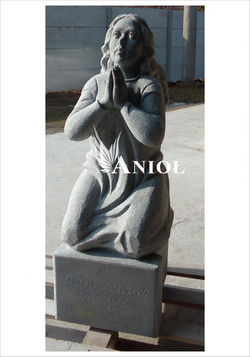anioł granit