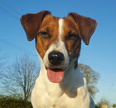 MILO-36794386_10155865025912326_43094843