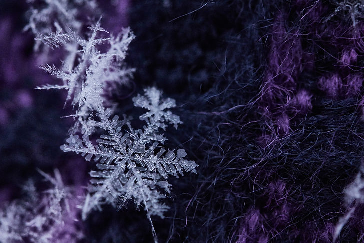 Snowflake-StockSnap_GFLXJ8O7HU.jpeg