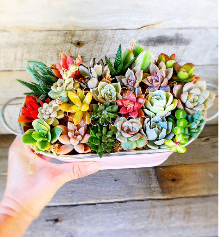 Thumbnail: 30 pk MINI MIX  GIFT BOX