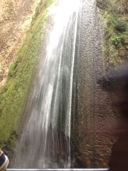 ינואר-פברואר 2014 1846