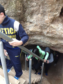 ציפורי ח2 015.jpg