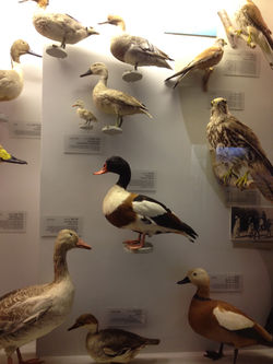 ינואר-פברואר 2014 1889