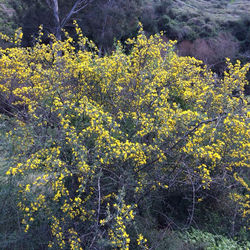 ינואר-פברואר 2014 1853