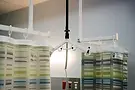 Medical treatment area with hospital curtain for patient care and privacy